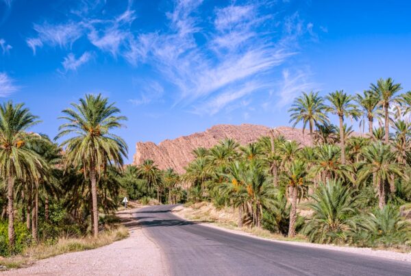 Biskra - Du Sahara à la méditérranée - Algérie