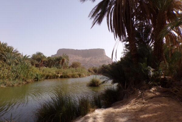 Timimoun - Du Sahara à la méditérranée - Algérie