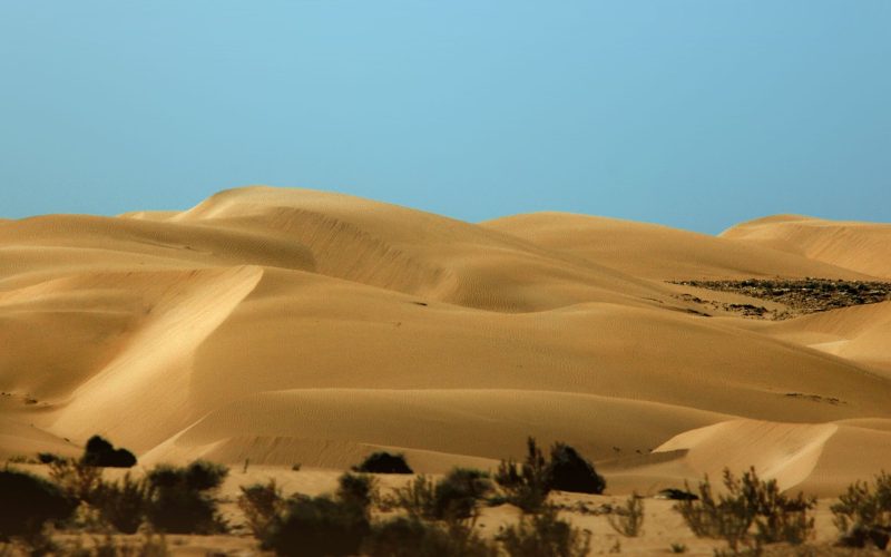 circuit campement desert tunisie