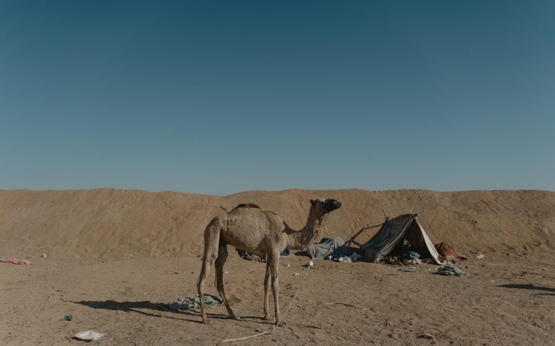 circuit campement desert tunisie